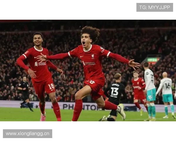 伊萨克与努涅斯:稳定输出型与冲击型前锋模板对比分析 伊萨克与努涅斯:稳定输出型与冲击型前锋模板对比分析